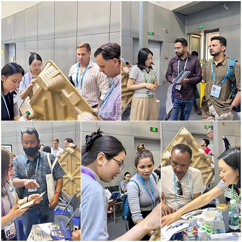 �����㽻������ȫ�򡪡���˾2026�괺���㽻���չ��ʵ